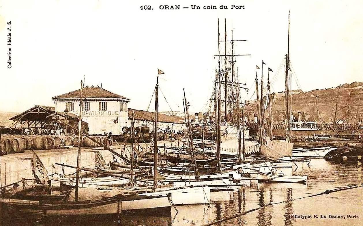 PO b- 302.jpg